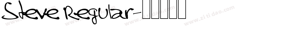 Steve Regular字体转换